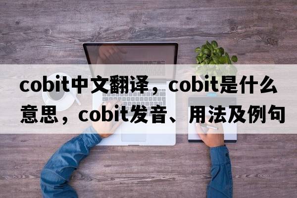 cobit中文翻譯，cobit是什么意思，cobit發(fā)音、用法及例句