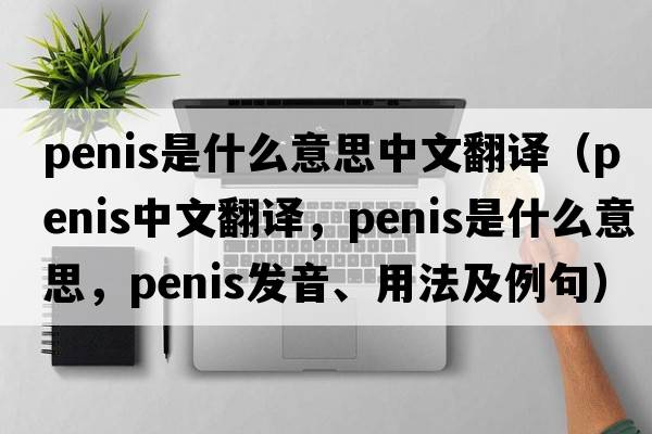 penis是什么意思中文翻譯（penis中文翻譯，penis是什么意思，penis發(fā)音、用法及例句）