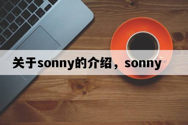 關(guān)于sonny的介紹，sonny