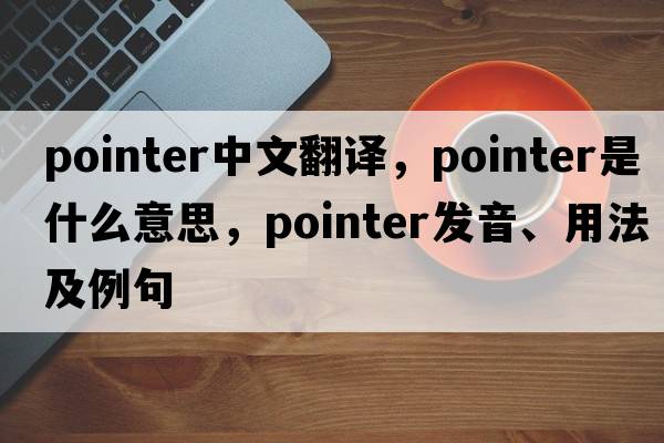 pointer中文翻譯，pointer是什么意思，pointer發(fā)音、用法及例句