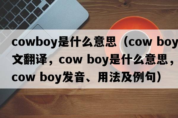 cowboy是什么意思（cow boy中文翻譯，cow boy是什么意思，cow boy發(fā)音、用法及例句）
