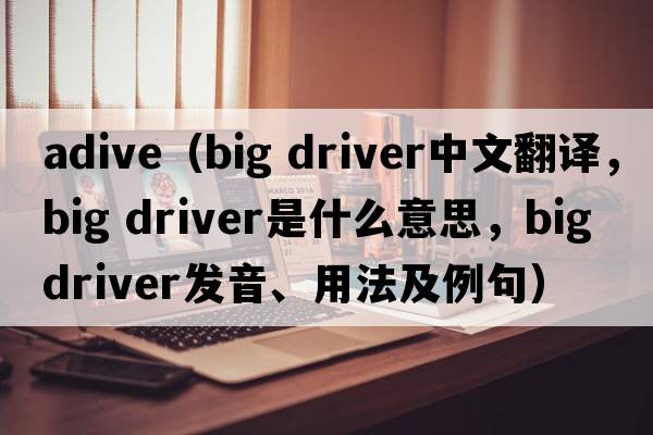 adive（big driver中文翻譯，big driver是什么意思，big driver發(fā)音、用法及例句）
