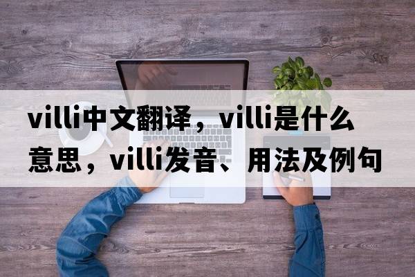 villi中文翻譯，villi是什么意思，villi發(fā)音、用法及例句