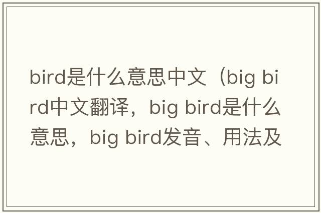 bird是什么意思中文（big bird中文翻譯，big bird是什么意思，big bird發(fā)音、用法及例句）