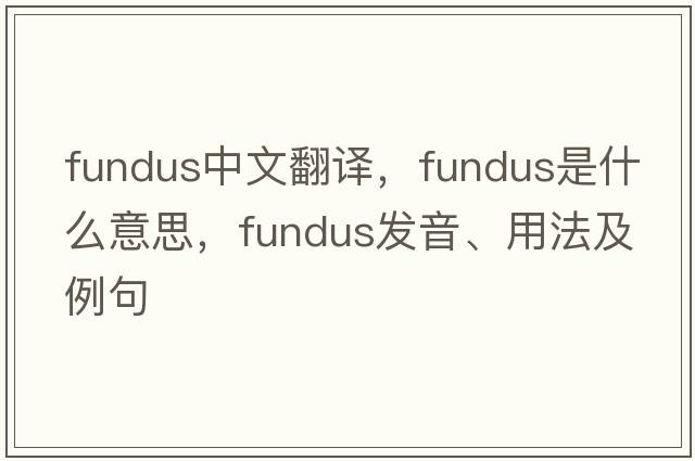 fundus中文翻譯，fundus是什么意思，fundus發(fā)音、用法及例句