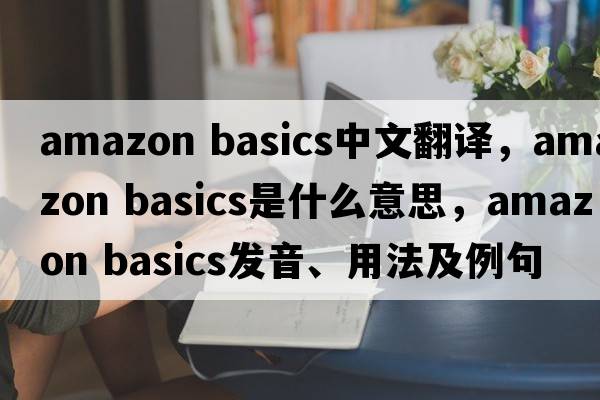 amazon basics中文翻譯，amazon basics是什么意思，amazon basics發(fā)音、用法及例句