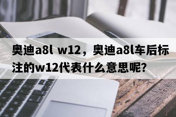 奧迪a8l w12，奧迪A8L車后標(biāo)注的W12代表什么意思呢？