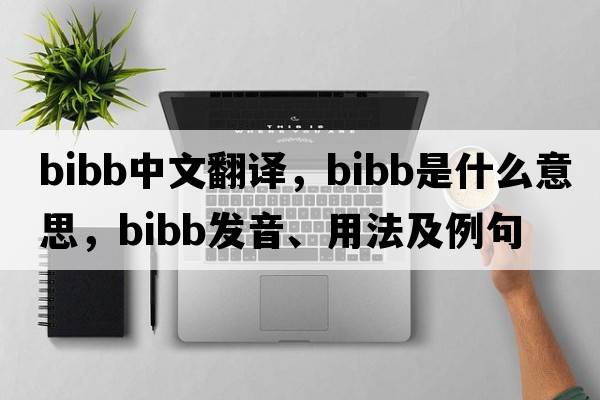 bibb中文翻譯，bibb是什么意思，bibb發(fā)音、用法及例句
