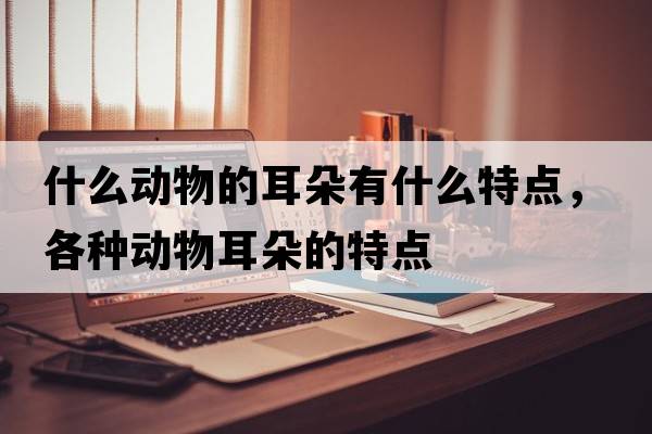 什么動物的耳朵有什么特點，各種動物耳朵的特點