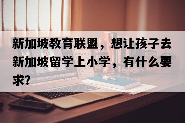 新加坡教育聯(lián)盟，想讓孩子去新加坡留學(xué)上小學(xué)，有什么要求？