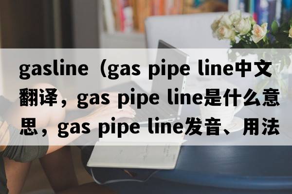 gasline（gas pipe line中文翻譯，gas pipe line是什么意思，gas pipe line發(fā)音、用法及例句）