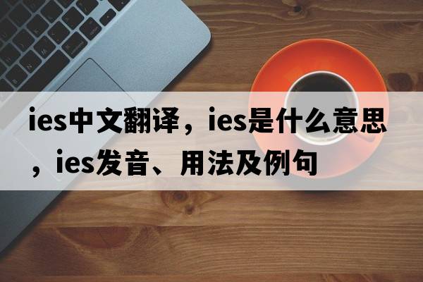 IES中文翻譯，IES是什么意思，IES發(fā)音、用法及例句