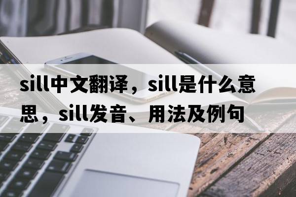 sill中文翻譯，sill是什么意思，sill發(fā)音、用法及例句