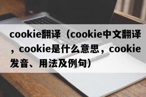 cookie翻譯（cookie中文翻譯，cookie是什么意思，cookie發(fā)音、用法及例句）