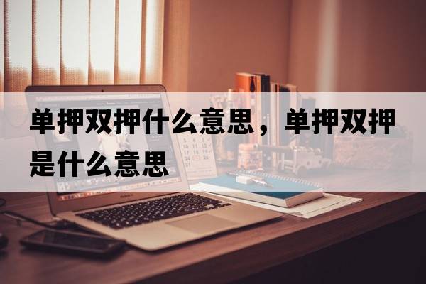 單押雙押什么意思，單押雙押是什么意思