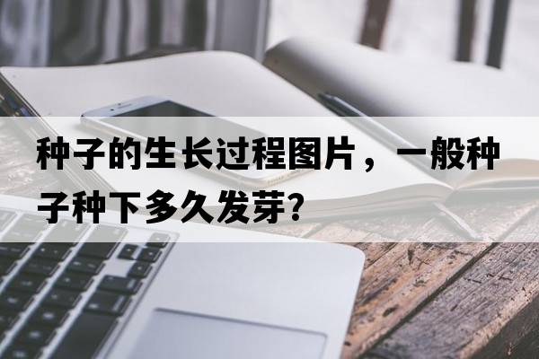 種子的生長(zhǎng)過(guò)程圖片，一般種子種下多久發(fā)芽？