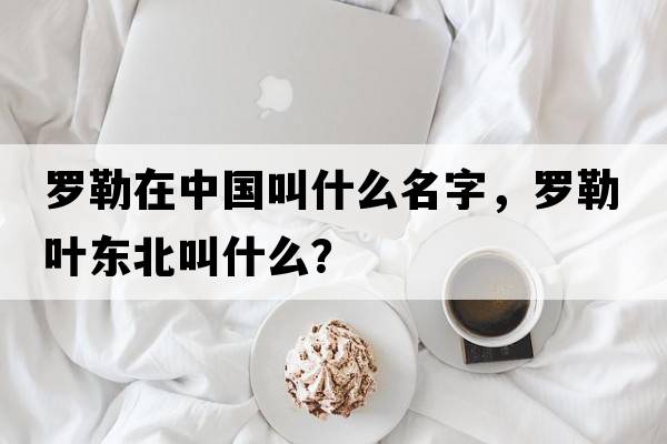 羅勒在中國叫什么名字，羅勒葉東北叫什么？