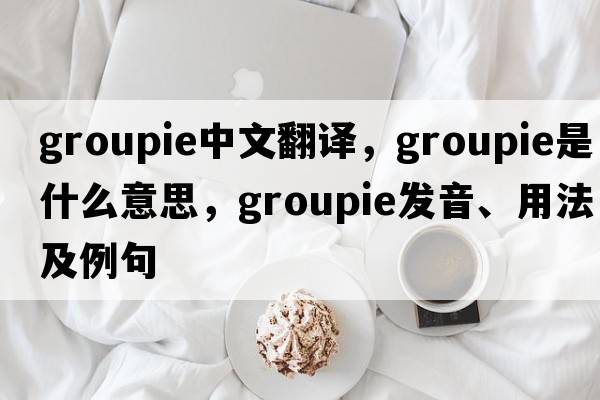 groupie中文翻譯，groupie是什么意思，groupie發(fā)音、用法及例句