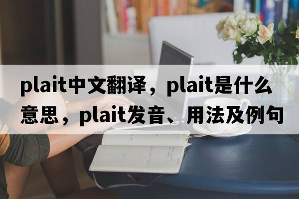 plait中文翻譯，plait是什么意思，plait發(fā)音、用法及例句