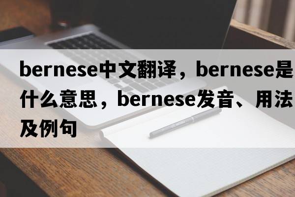 Bernese中文翻譯，Bernese是什么意思，Bernese發(fā)音、用法及例句