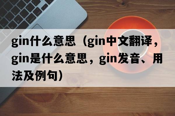 gin什么意思（gin中文翻譯，gin是什么意思，gin發(fā)音、用法及例句）