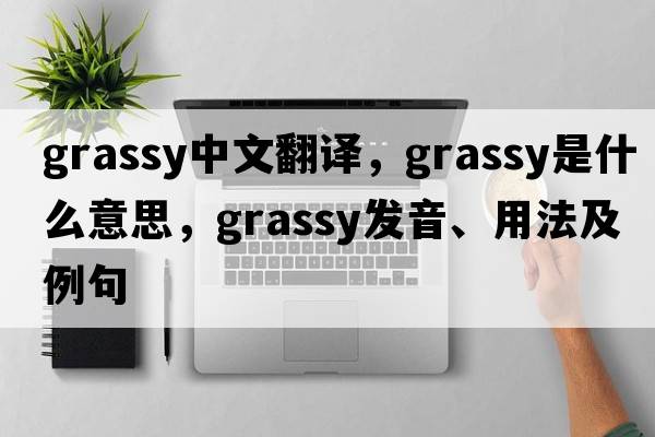 grassy中文翻譯，grassy是什么意思，grassy發(fā)音、用法及例句