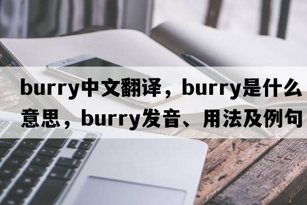 burry中文翻譯，burry是什么意思，burry發(fā)音、用法及例句