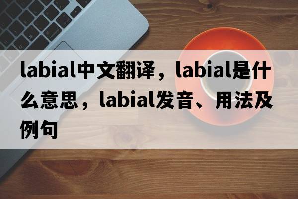 labial中文翻譯，labial是什么意思，labial發(fā)音、用法及例句