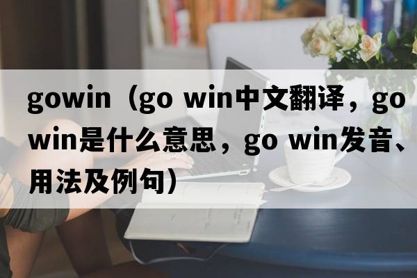 gowin（go win中文翻譯，go win是什么意思，go win發(fā)音、用法及例句）