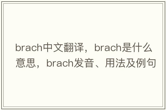 brach中文翻譯，brach是什么意思，brach發(fā)音、用法及例句