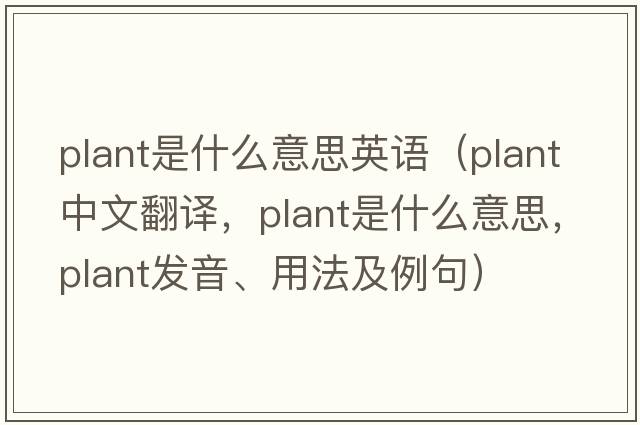 plant是什么意思英語(yǔ)（plant中文翻譯，plant是什么意思，plant發(fā)音、用法及例句）