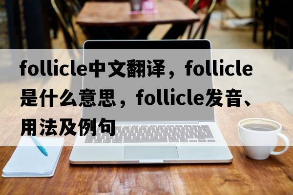 follicle中文翻譯，follicle是什么意思，follicle發(fā)音、用法及例句