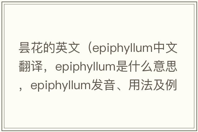 曇花的英文（epiphyllum中文翻譯，epiphyllum是什么意思，epiphyllum發(fā)音、用法及例句）