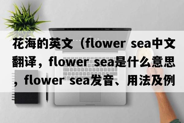 花海的英文（flower sea中文翻譯，flower sea是什么意思，flower sea發(fā)音、用法及例句）