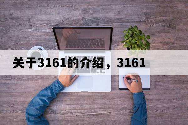 關于3161的介紹，3161