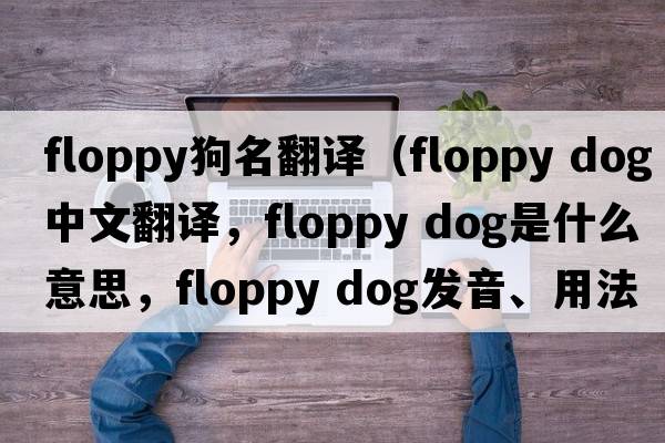 floppy狗名翻譯（floppy dog中文翻譯，floppy dog是什么意思，floppy dog發(fā)音、用法及例句）