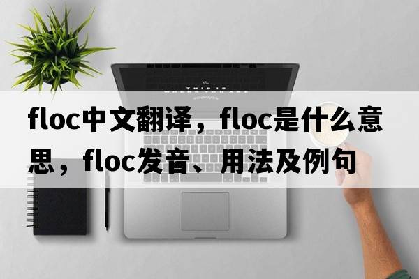 floc中文翻譯，floc是什么意思，floc發(fā)音、用法及例句