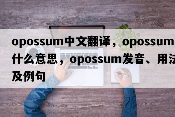 opossum中文翻譯，opossum是什么意思，opossum發(fā)音、用法及例句