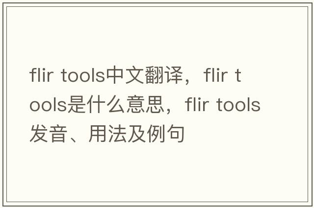 flir tools中文翻譯，flir tools是什么意思，flir tools發(fā)音、用法及例句