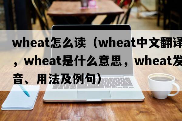 wheat怎么讀（wheat中文翻譯，wheat是什么意思，wheat發(fā)音、用法及例句）