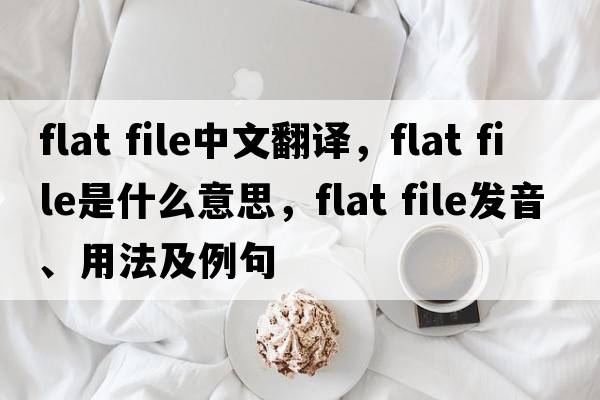 flat file中文翻譯，flat file是什么意思，flat file發(fā)音、用法及例句