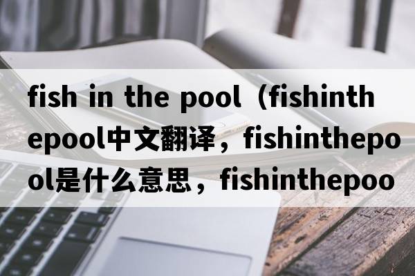fish in the pool（fishinthepool中文翻譯，fishinthepool是什么意思，fishinthepool發(fā)音、用法及例句）