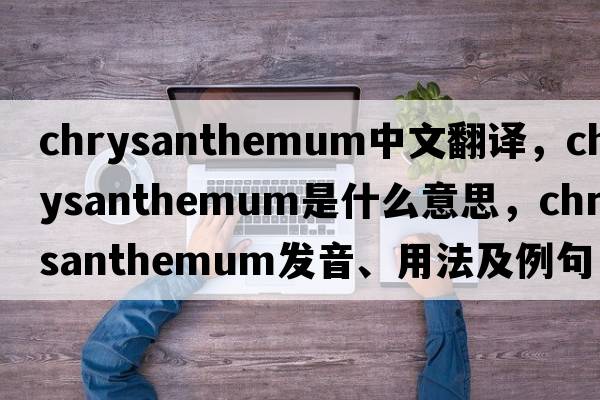 chrysanthemum中文翻譯，chrysanthemum是什么意思，chrysanthemum發(fā)音、用法及例句