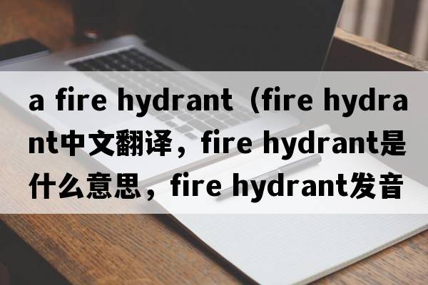 a fire hydrant（fire hydrant中文翻譯，fire hydrant是什么意思，fire hydrant發(fā)音、用法及例句）