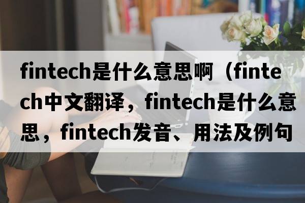 fintech是什么意思?。╢intech中文翻譯，fintech是什么意思，fintech發(fā)音、用法及例句）
