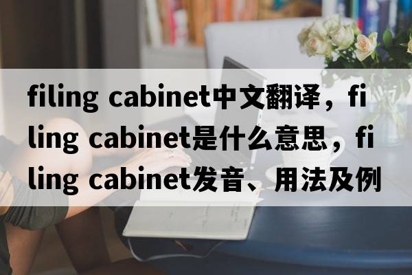 filing cabinet中文翻譯，filing cabinet是什么意思，filing cabinet發(fā)音、用法及例句