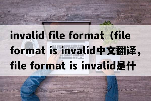 invalid file format（file format is invalid中文翻譯，file format is invalid是什么意思，file format is invalid發(fā)音、