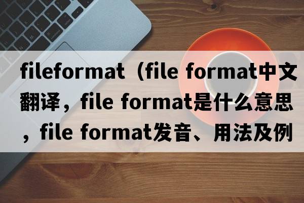 fileformat（file format中文翻譯，file format是什么意思，file format發(fā)音、用法及例句）