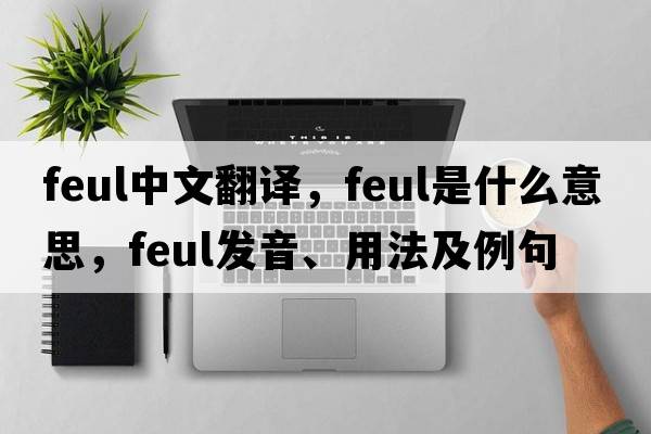 feul中文翻譯，feul是什么意思，feul發(fā)音、用法及例句