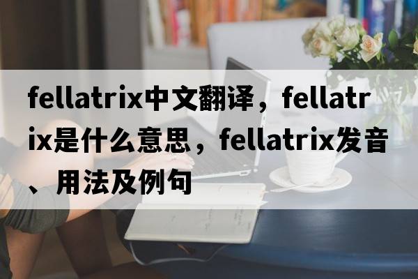 fellatrix中文翻譯，fellatrix是什么意思，fellatrix發(fā)音、用法及例句
